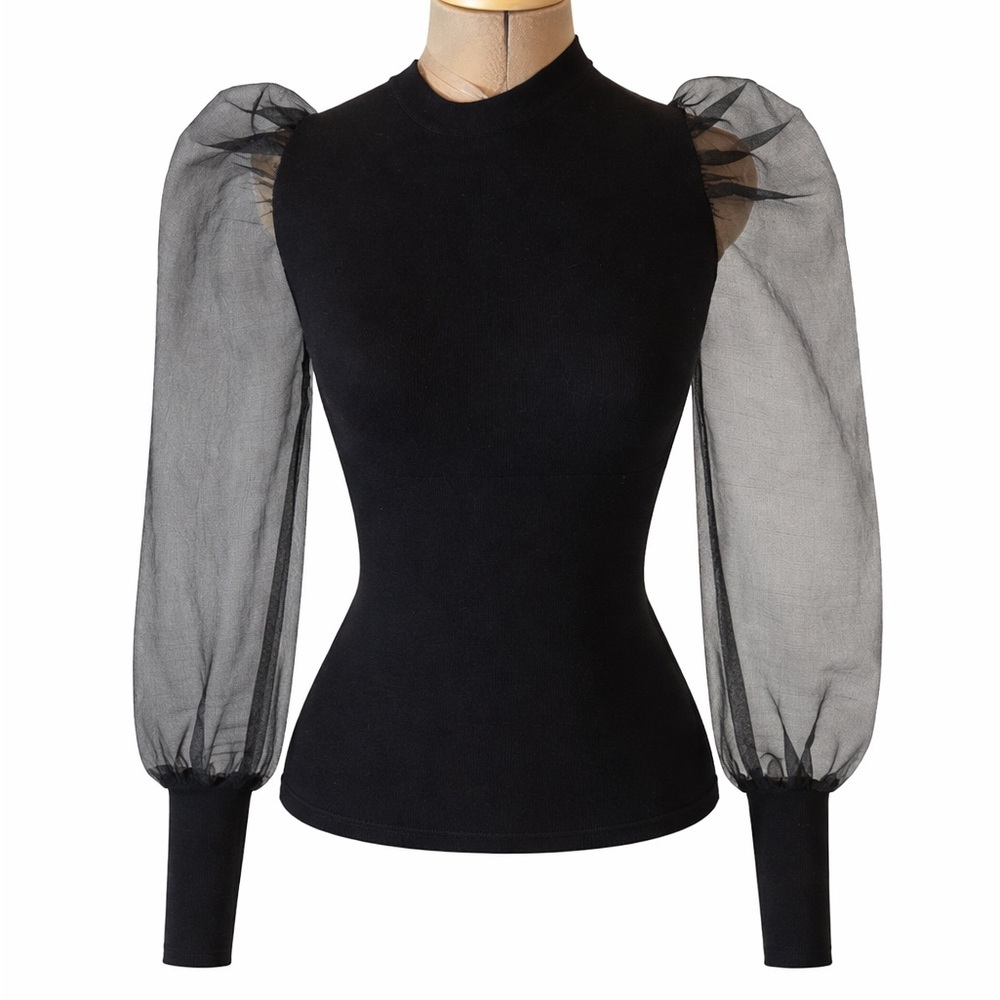 Black Organza Sheer Arm Shirt